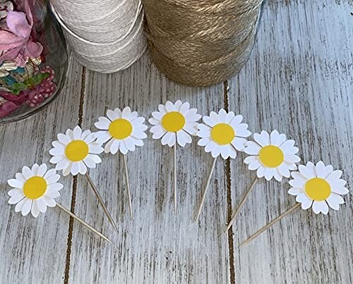 Small White Daisy Flower cupcake toppers Food picks party decorations Set of 24